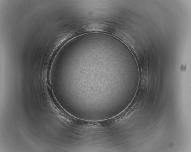 X0000094970386200711291508
