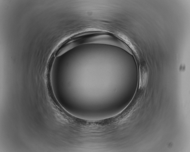 X0000094970387200711291508