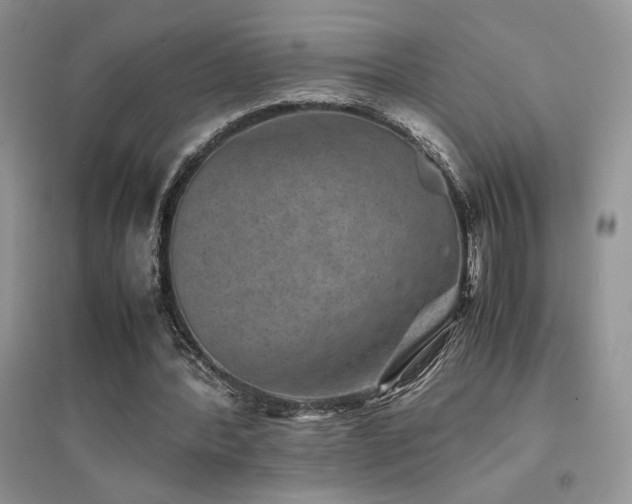 X0000094970388200711291508