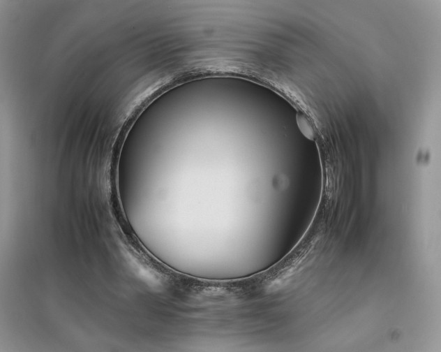 X0000094970390200711291508