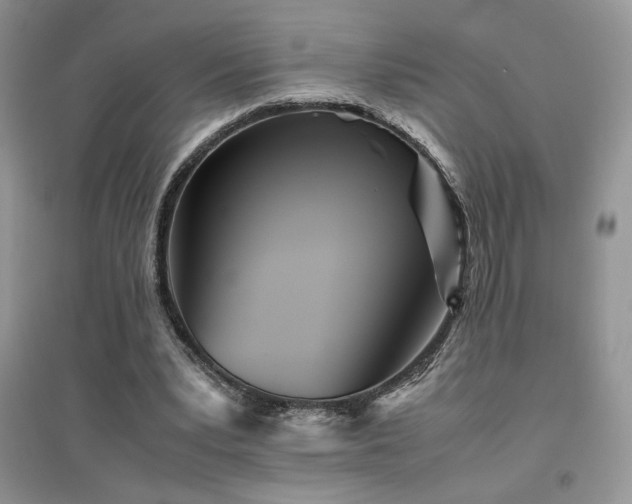 X0000094970391200711291508
