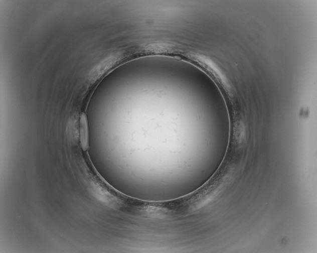 X0000094970393200711291508