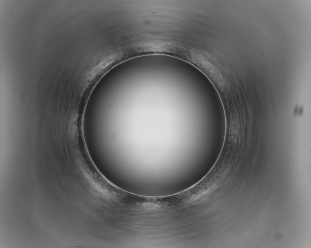 X0000094970394200711291508