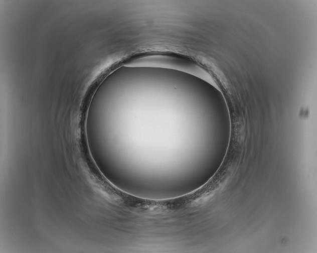 X0000094970395200711291508