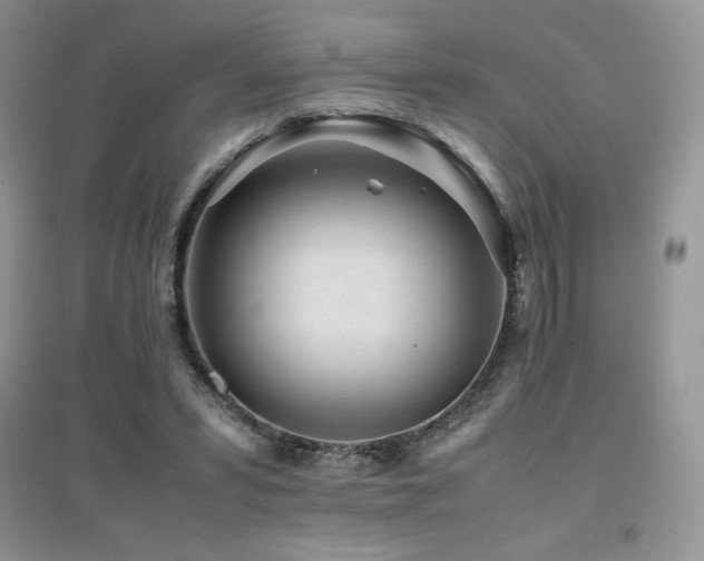 X0000094970399200711291508