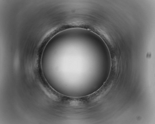 X0000094970400200711291508