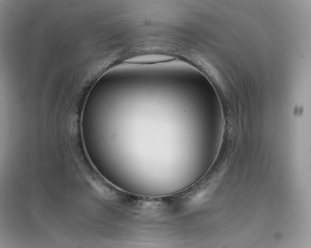 X0000094970401200711291508