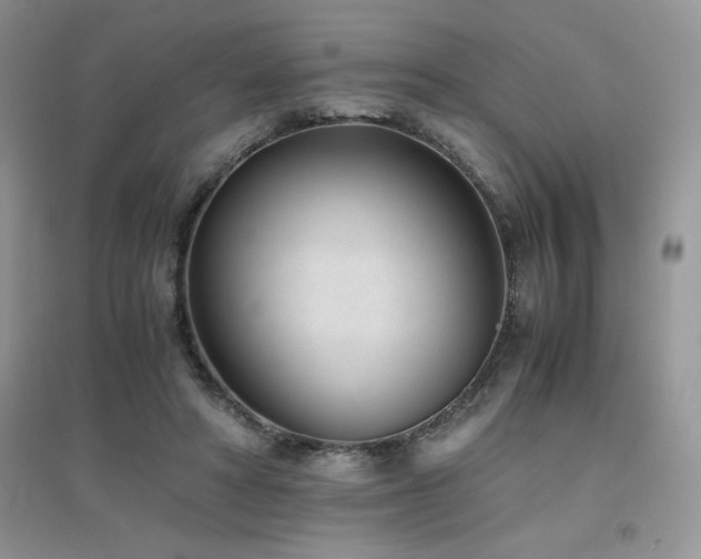 X0000094970402200711291508