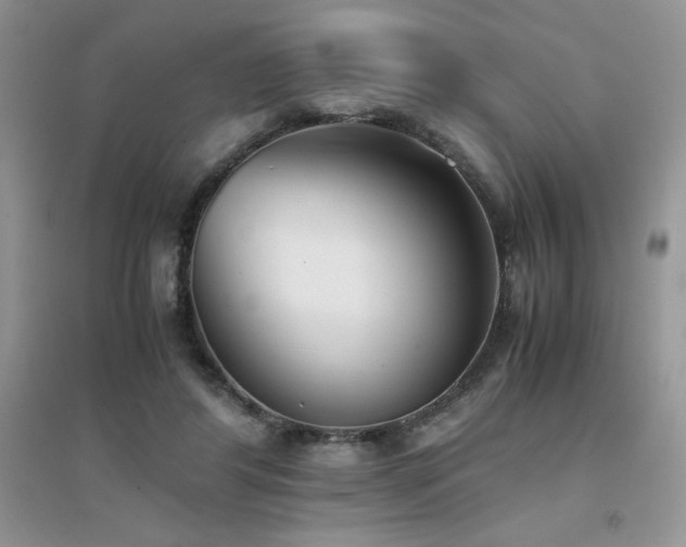 X0000094970404200711291508