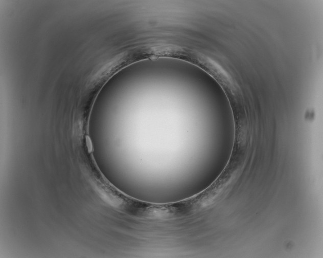 X0000094970405200711291508