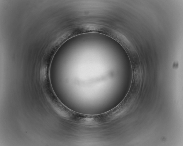 X0000094970406200711291508