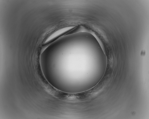 X0000094970407200711291508