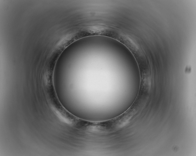 X0000094970408200711291508