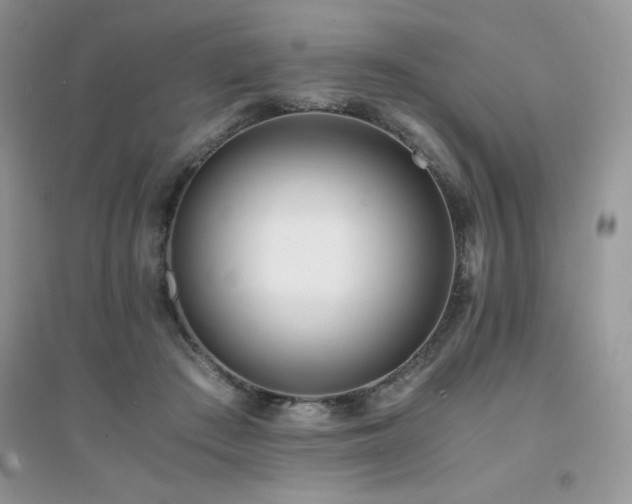 X0000094970409200711291508