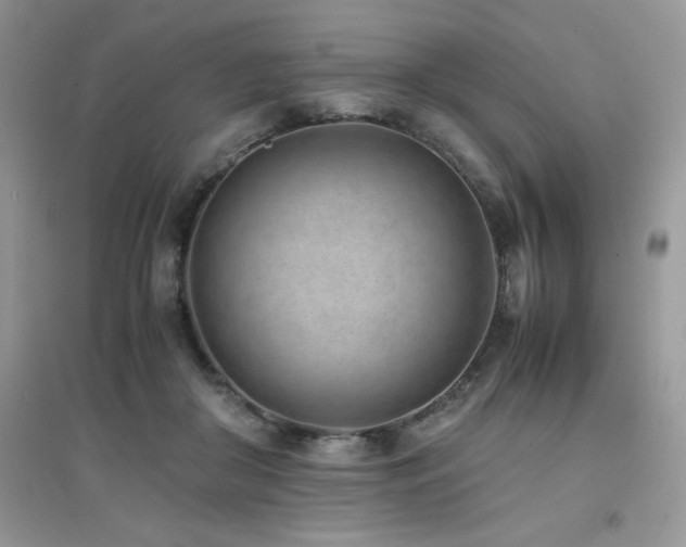 X0000094970410200711291508