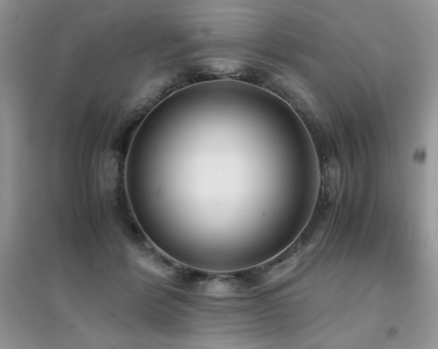 X0000094970412200711291508