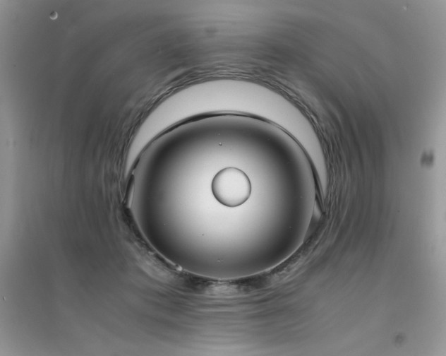 X0000094970413200711291508