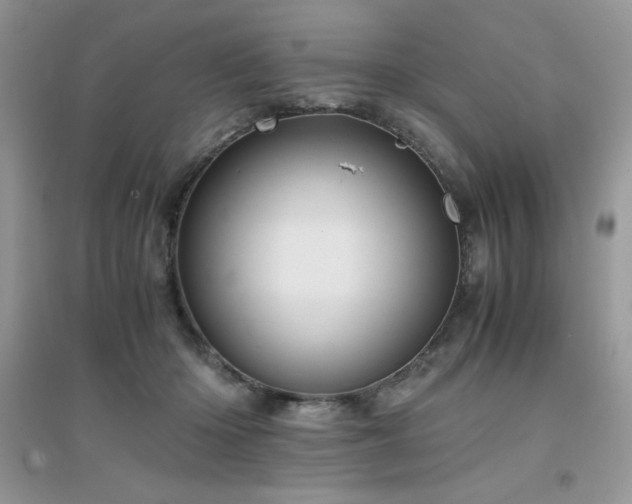 X0000094970414200711291508