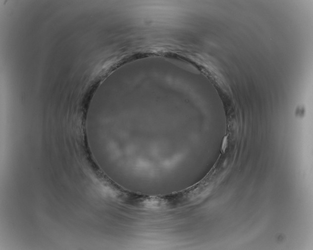 X0000094970415200711291508