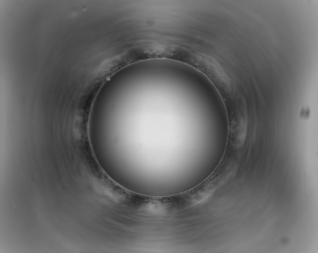X0000094970416200711291508