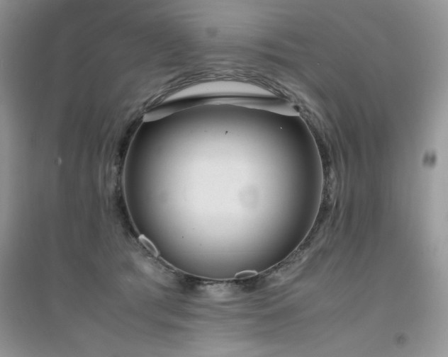 X0000094970417200711291508