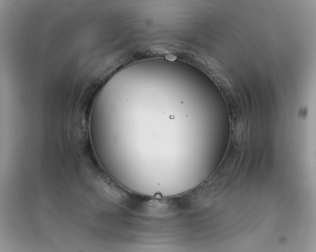X0000094970418200711291508