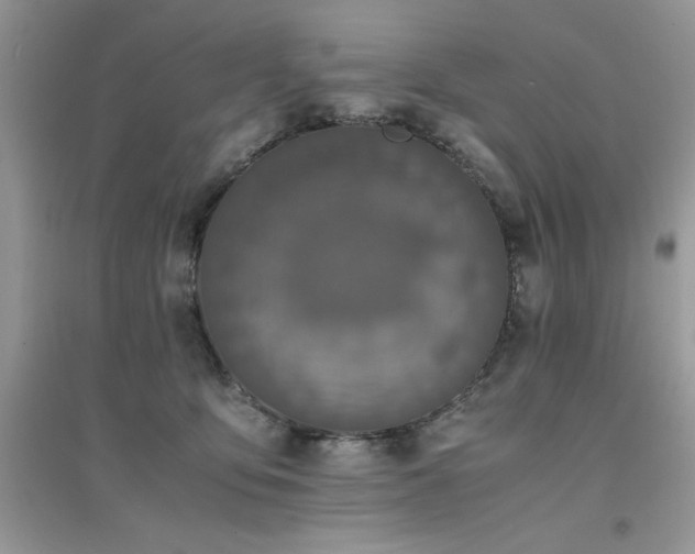 X0000094970419200711291508