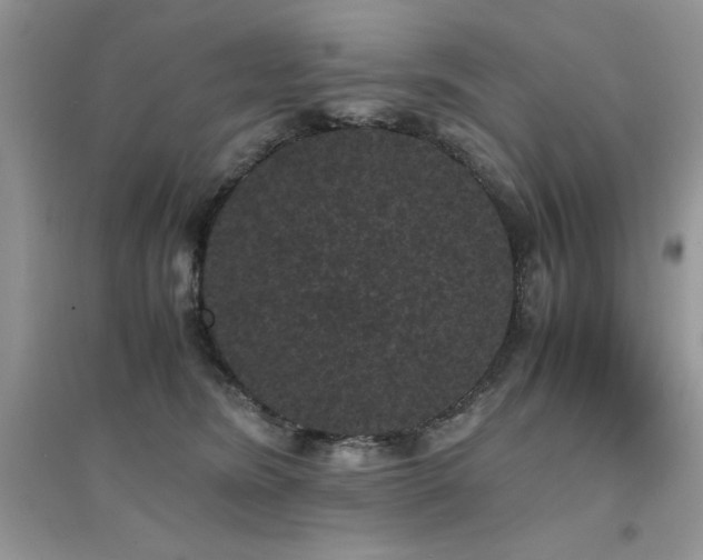 X0000094970420200711291508