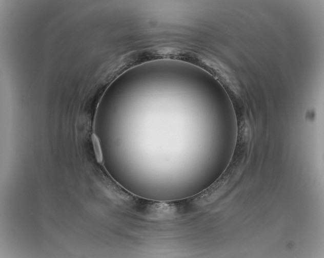 X0000094970421200711291508