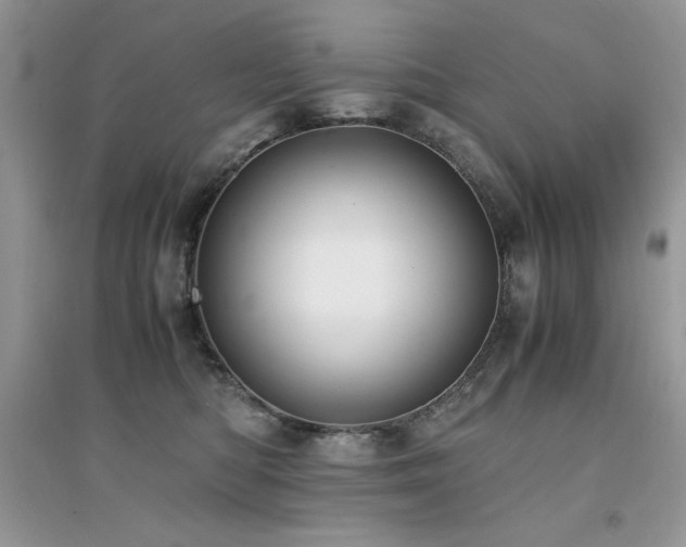X0000094970422200711291508