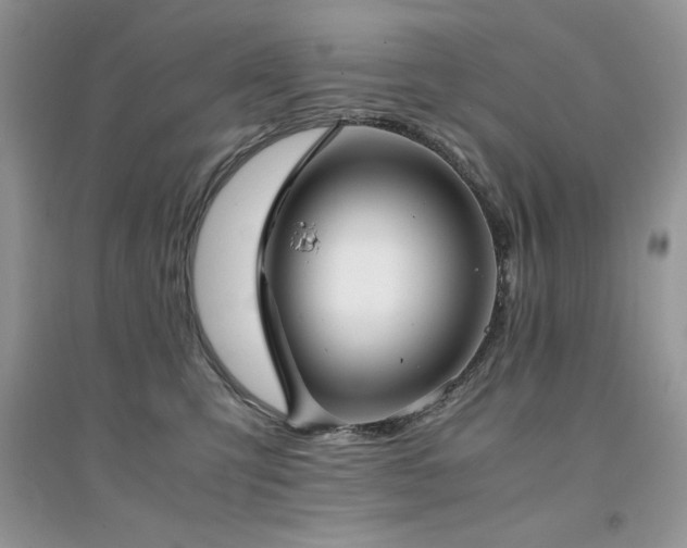 X0000094970423200711291508