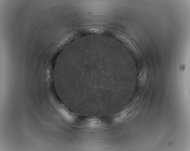 X0000094970424200711291508