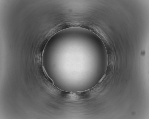 X0000094970425200711291508