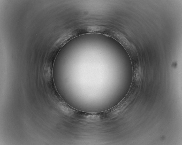 X0000094970426200711291508