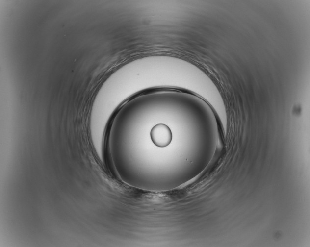 X0000094970427200711291508