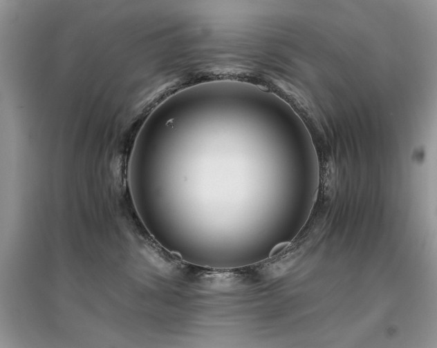 X0000094970428200711291508