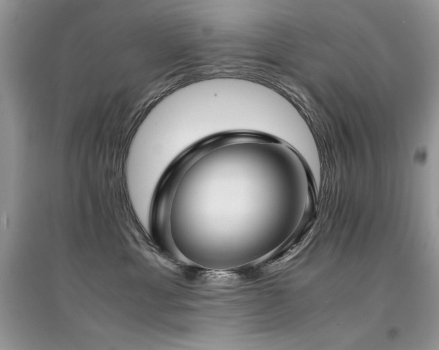 X0000094970429200711291508