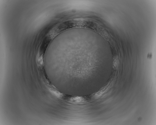 X0000094970431200711291508