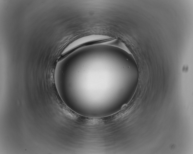 X0000094970432200711291508