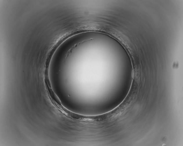 X0000094970434200711291507