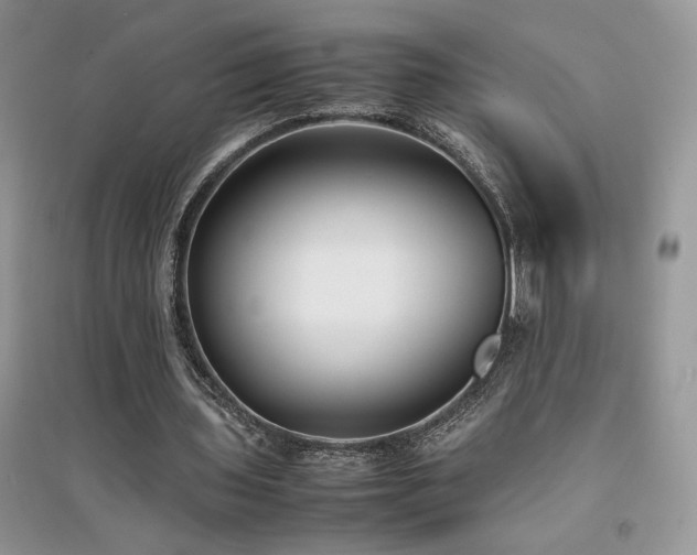 X0000094970435200711291507