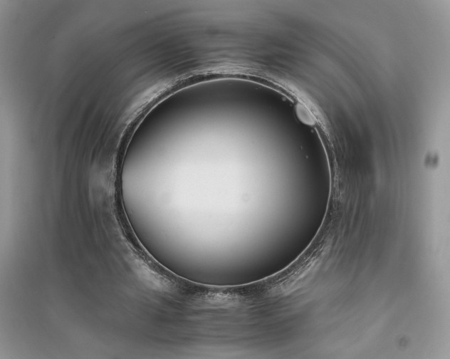 X0000094970437200711291507