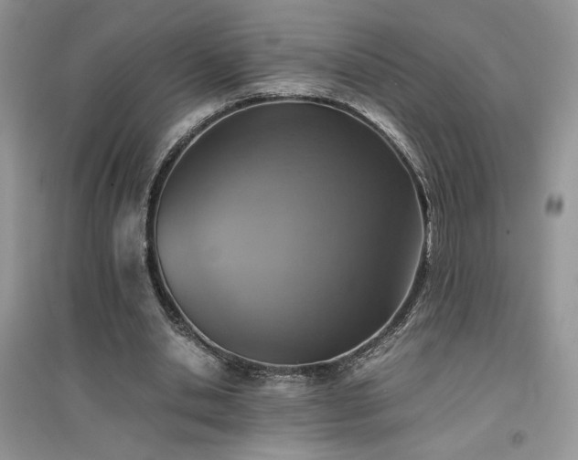 X0000094970438200711291507