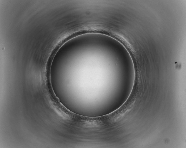 X0000094970439200711291507