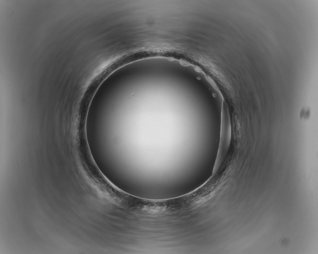 X0000094970440200711291507