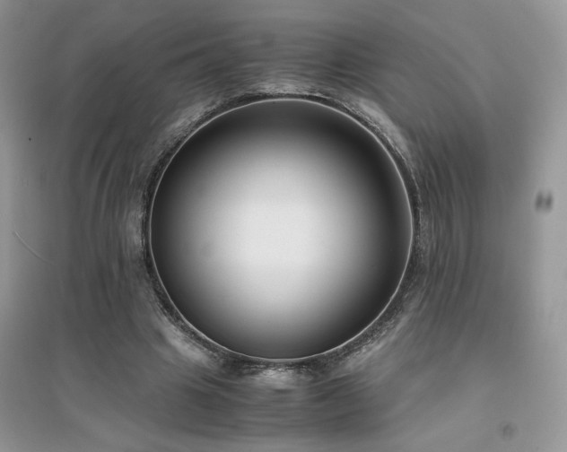 X0000094970441200711291507