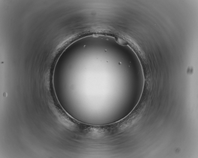 X0000094970442200711291507