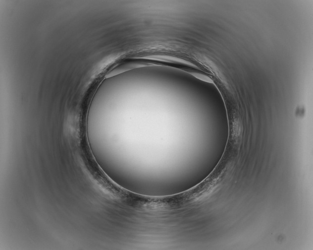 X0000094970444200711291507