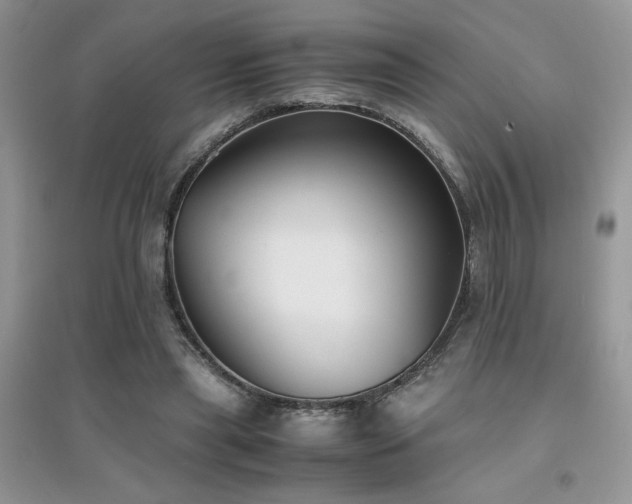 X0000094970445200711291507