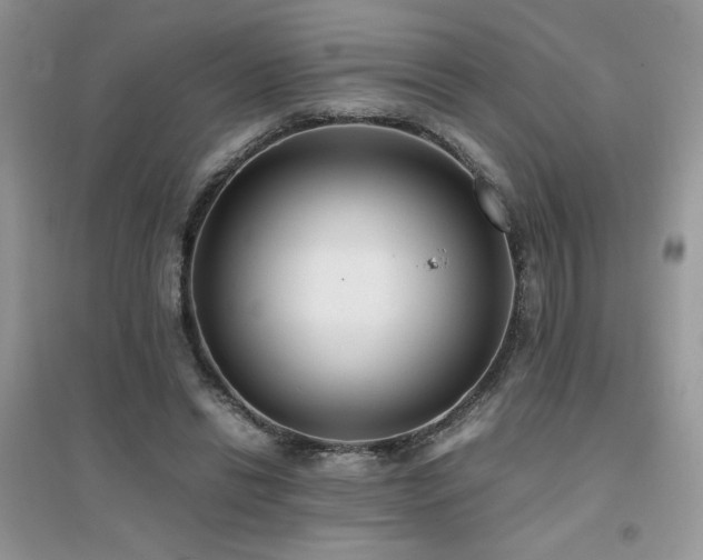 X0000094970446200711291507